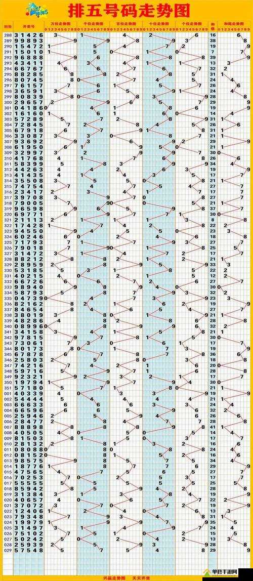 排列5，探索数字世界的奥秘