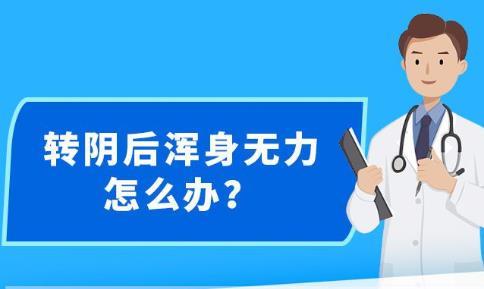 新澳精准资料免费提供，探索第510期的奥秘与价值