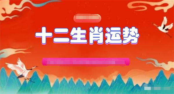 澳门2025今晚一肖一码精准预测——探索未来的幸运密码