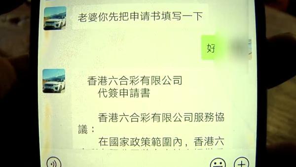 澳门开奖直播，免费观看的指南与体验