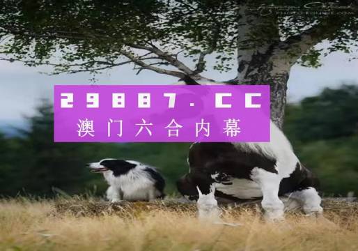 澳门正版资料免费公开四不像，揭秘与探索