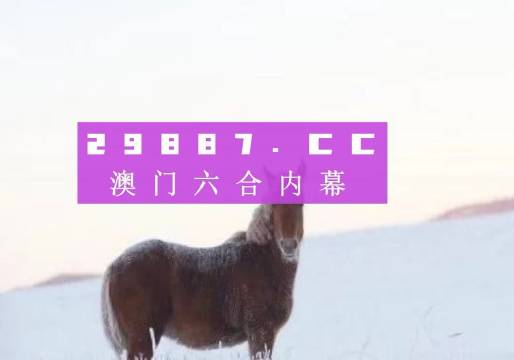 澳门精准四不像，探索与解析