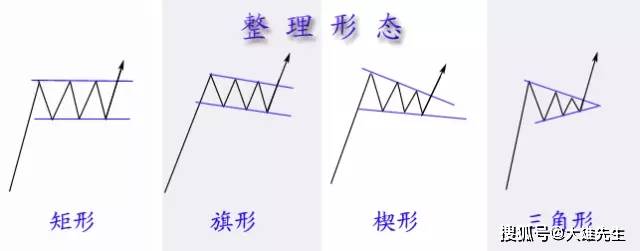 王中王免费资料大全正版，深度解析与探索