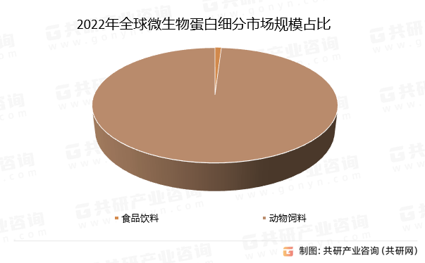 王中王资料大全，深度解析与独特视角