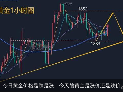 黄金价格的波动，今天黄金价格涨了吗？