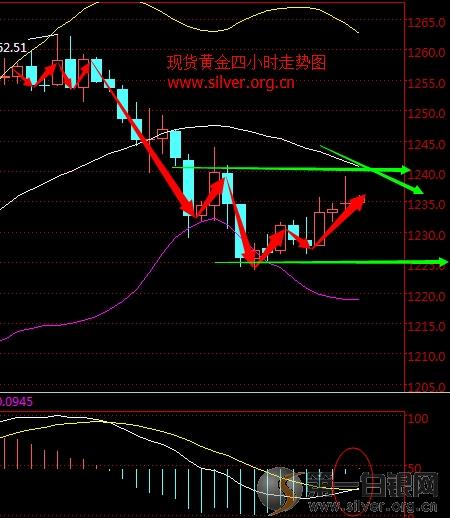 现货黄金价格实时走势，市场动态的深度解析