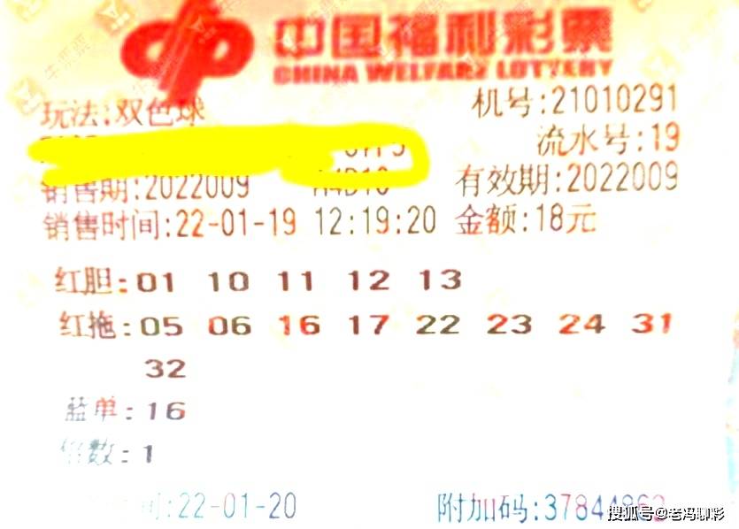 浙江福彩15选5最新结果，幸运与希望之花绽放