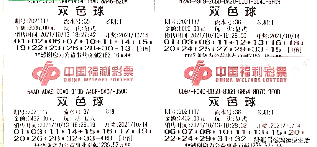 福彩双色球开奖号码31多少钱，探索与解析