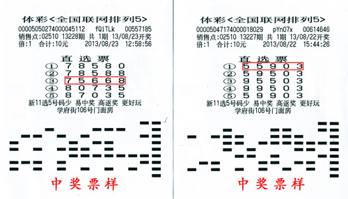 今日排列五开奖结果，揭晓幸运数字的魅力与期待