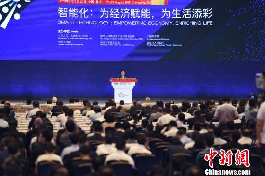 揭秘三字迷总会，一场数字与智慧的盛宴