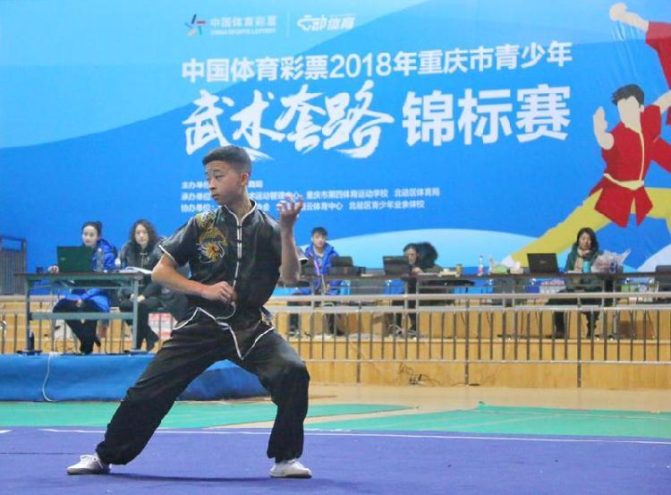 彩票计划软件官方版，助力彩票爱好者走向成功之路