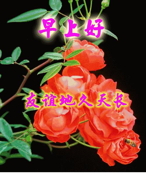 时时乐上海开奖结果快三，探索与体验彩票的魅力