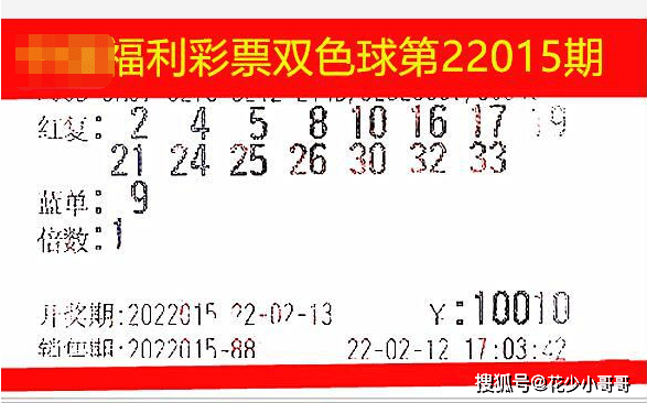 双色球2019年第100期开奖结果，幸运与梦想的交汇点