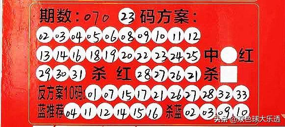 双色球超长版走势图解析，揭示500期走势图的秘密