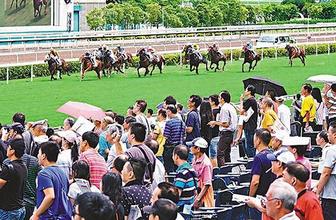 香港赛马会开奖