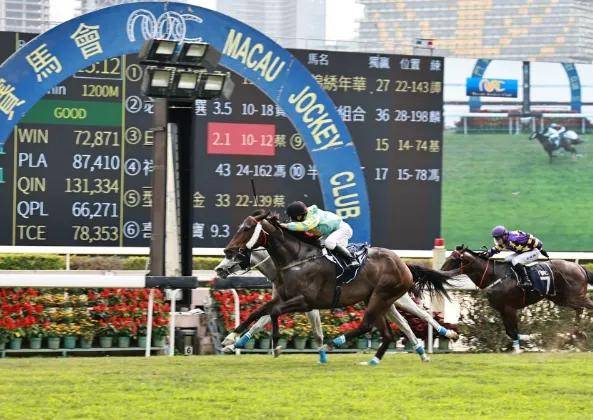 馬會傳真壇（以下简称‘MHTZF’马会传真网站资料