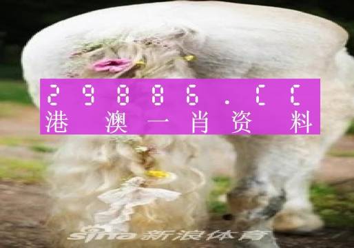 澳门最难一肖预测 56期彩票号码分析