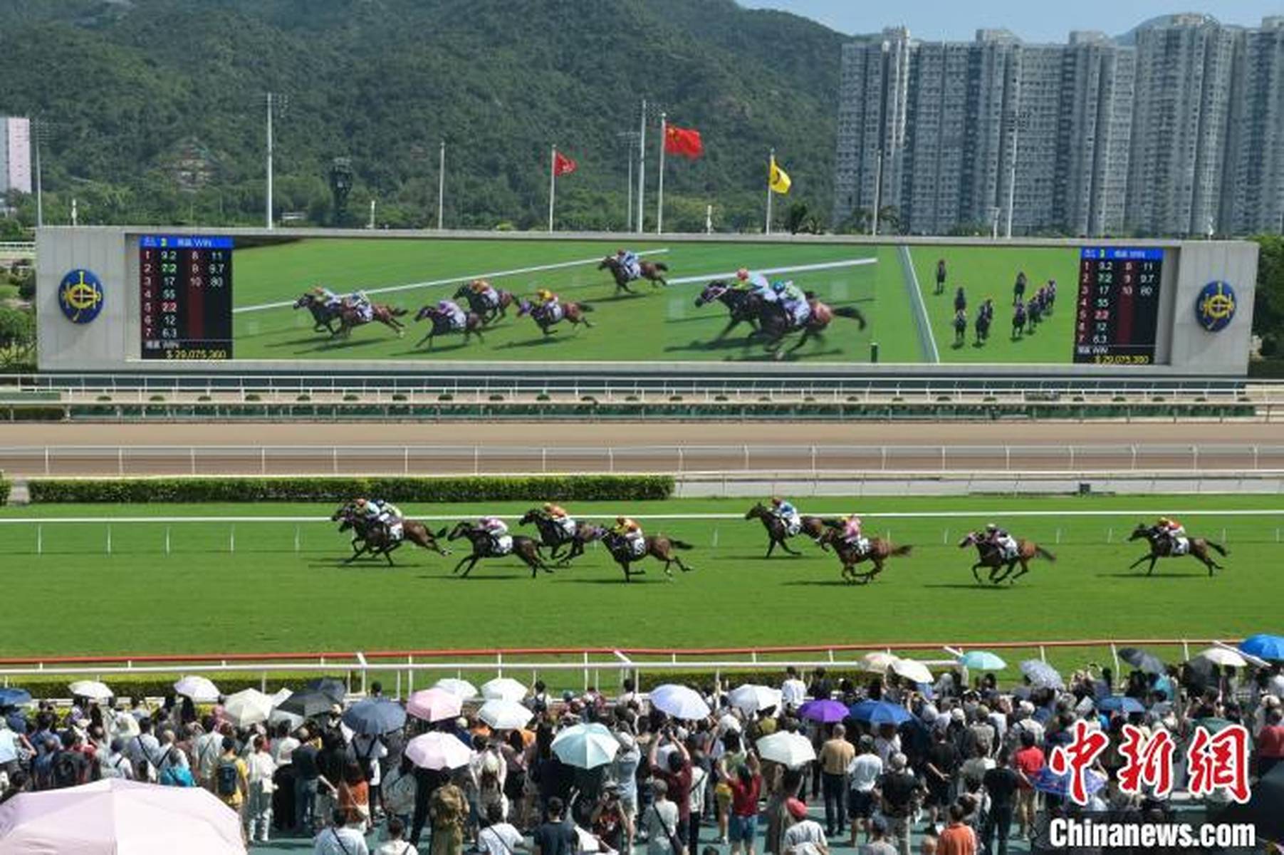 香港马会开奖资料