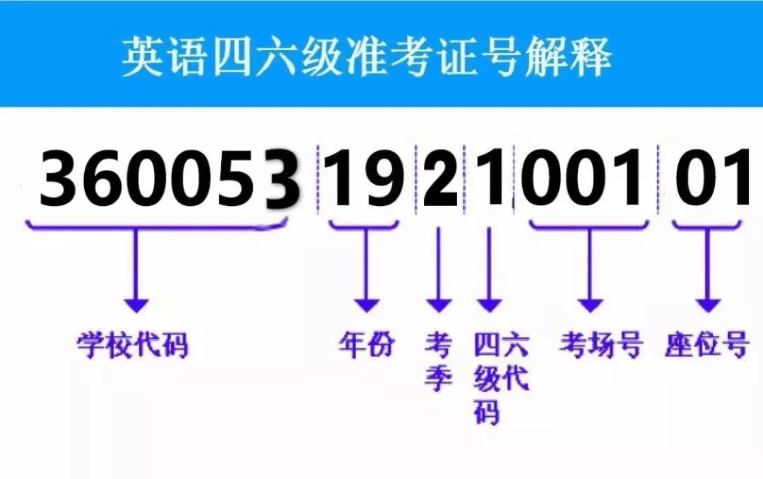 新澳门开奖结果2024开奖记录查询官网下载 十码必中