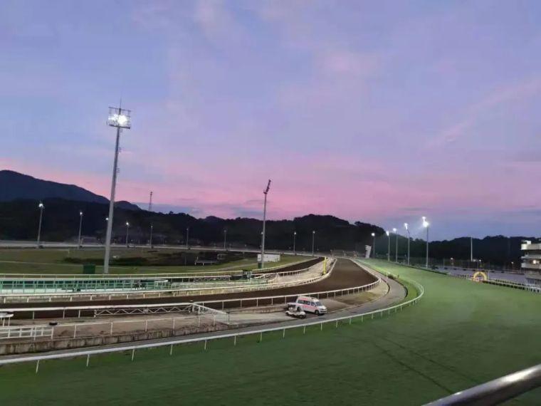 香冓全靣資料馬會大仟香港2021年马会资料大全