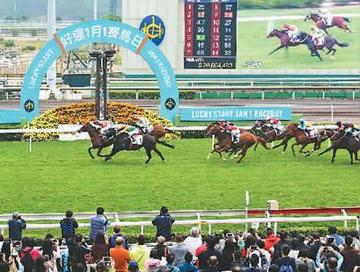 香港赛马会精准资料大全查询