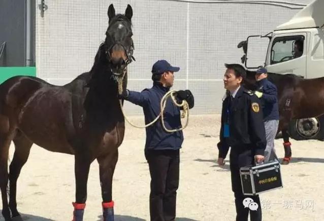 香港正版马会精选资料大全南方生肖有几个