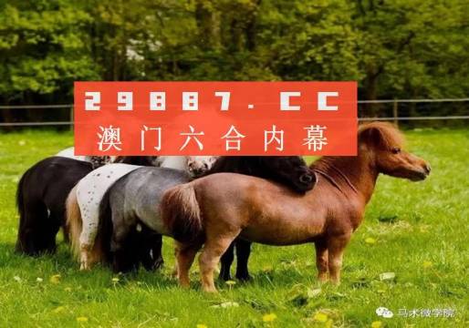黄大仙精选资料一肖一码com