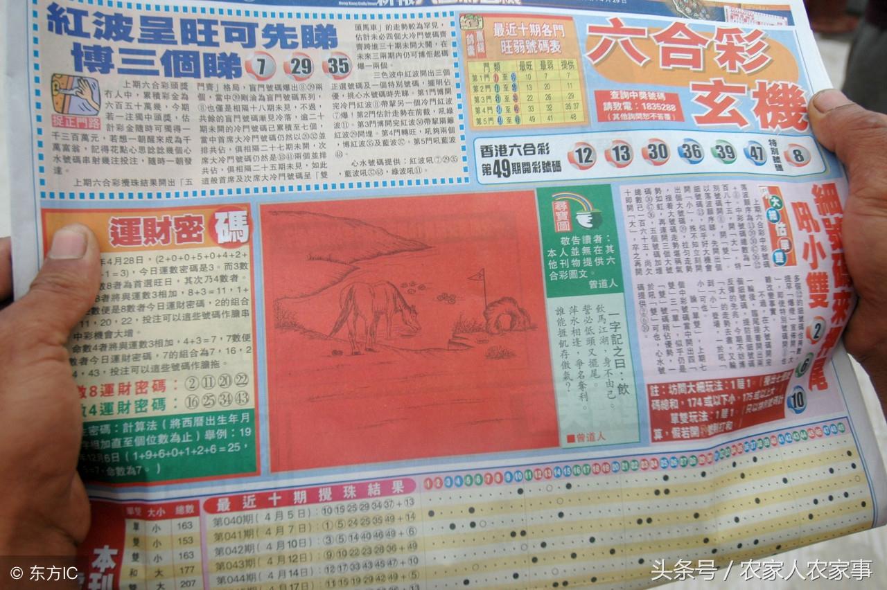 香港全年资料免费大全一